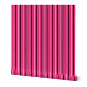 Hot Pink Black and White Stripes