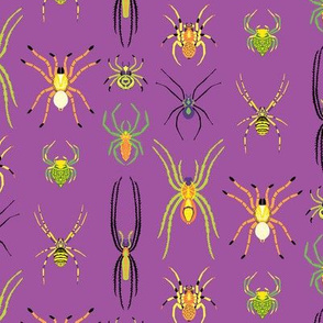 Mini Pop Art Spiders in Purple