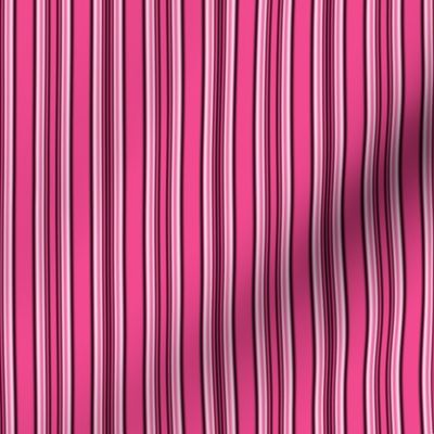 Pink and Black and White Stripes