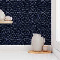 Geometric Grid - Navy texture 