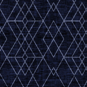 Geometric Grid - Navy texture 