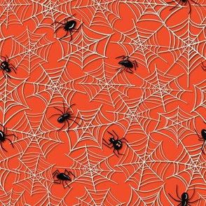 Spooky Spider Webs
