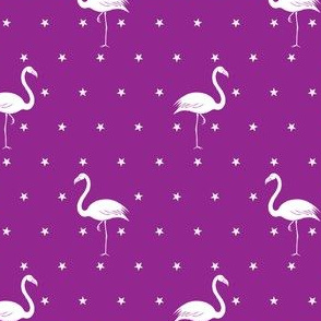 flamingos and stars white on purple