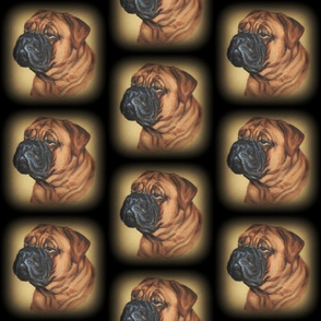 Bullmastiff dog portrait