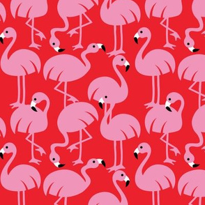 Gamme_Flamingos-02