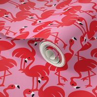 Gamme_Flamingos-08