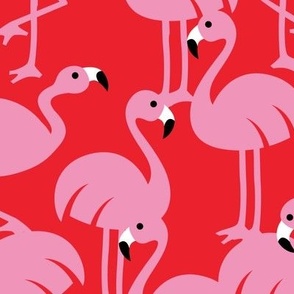 Gamme_Flamingos-09