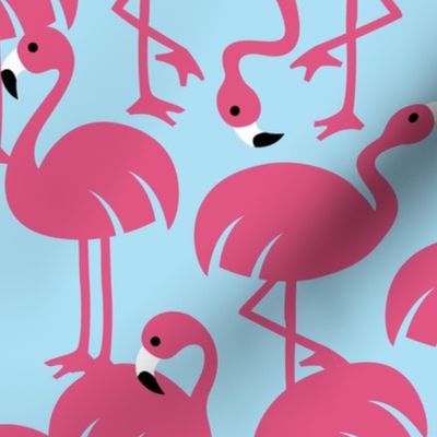 Gamme_Flamingos-20