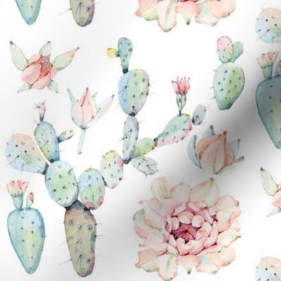 Watercolor Paddle Cactus in Pastel