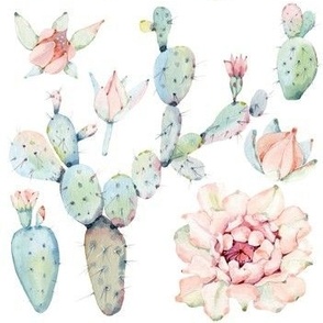 Watercolor Paddle Cactus in Pastel