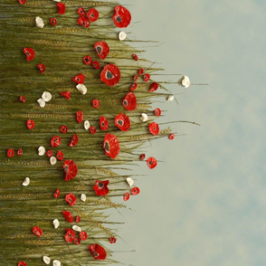 Poppy Field Border Print