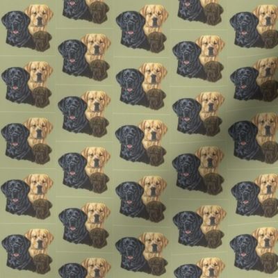 Labrador dogs with maple leaves