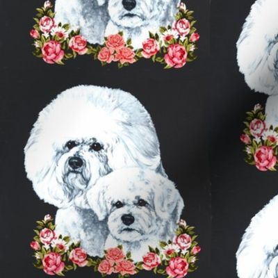 Bichon frise dogs with flowers on black