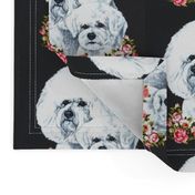 Bichon frise dogs with flowers on black