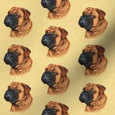 Bullmastiff dog portrait on yellow-brown background