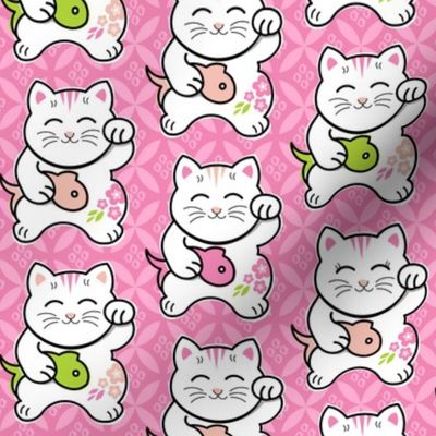 Kawaii Cat's Sushi - Small