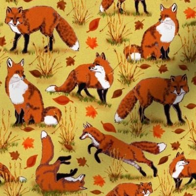 red_fox_autumn_8x8