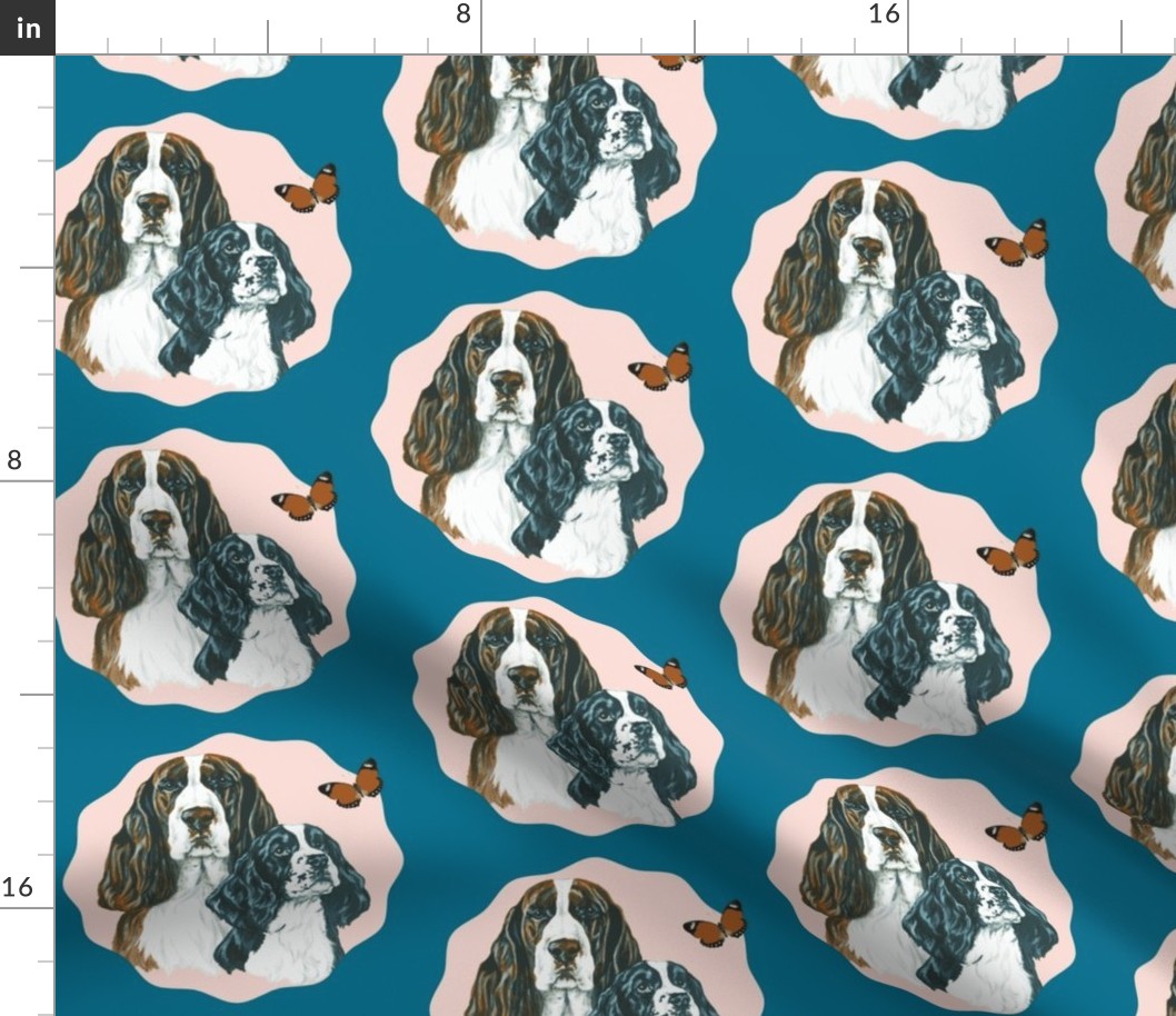 English springer spaniel dog portrait