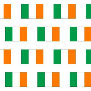 Irish Flag // Small