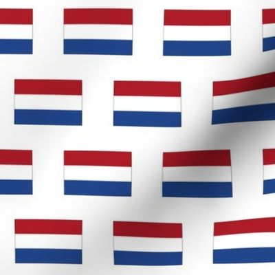 Dutch Flag // Small