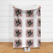 Australian Shepherd Panel