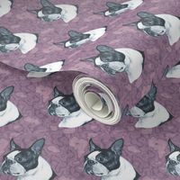 boston terrier dog head on purple marble