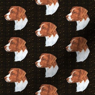 Brittany spaniel dog on hammered metal