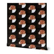 Brittany spaniel dog on metal relief