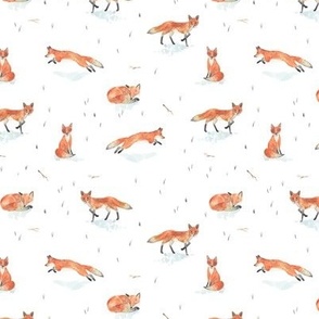 Winter Fox (Small)