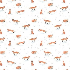Winter Fox (Tiny)