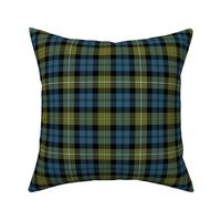 Campbell of Loudoun or Campbell of Argyll 1906 tartan, 6" weathered colors