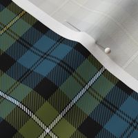 Campbell of Loudoun or Campbell of Argyll 1906 tartan, 6" weathered colors