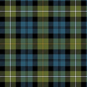 Campbell of Loudoun or Campbell of Argyll 1906 tartan, 6" weathered colors