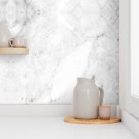 Carrara White Marble