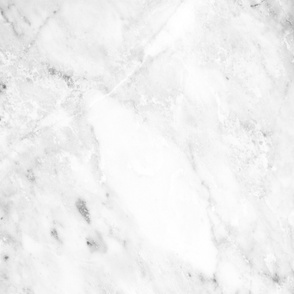 Carrara White Marble