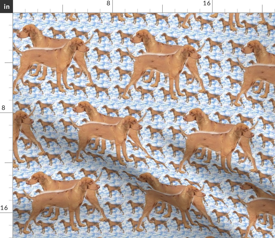 ridgeback_blue_pattern