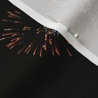 2017 Fireworks 4