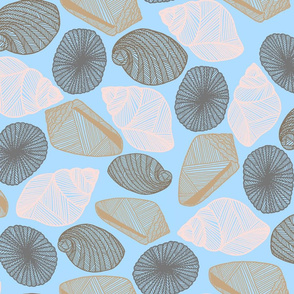 Hawaiian Tide Pool-Sea Shells Light Blue