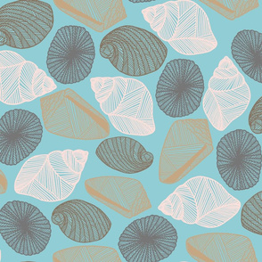 Hawaiian Tidal Pool-Sea Shells Sea Green