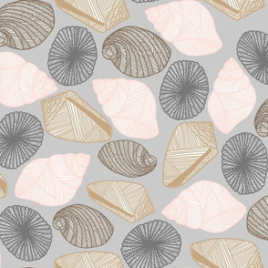 Shell wallpaper Stock Photos and Images 22164 Shell wallpaper pictures  and royalty free photography available to search from thousands of stock  photographers