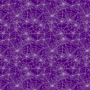 Spider Webs in Purple