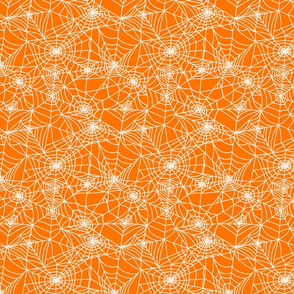 Spider Web on Orange