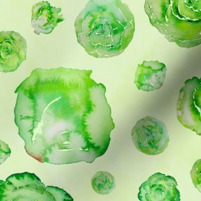 lettuce pattern on green