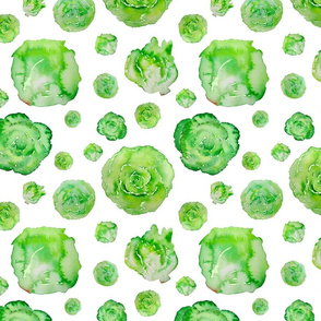 lettuce pattern on white