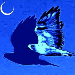 Night Hawk and Moon