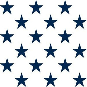 One Inch Navy Blue Stars on White
