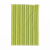 Avocdo Green Fruit Stripe || Chartreuse lime olive kelly forest
