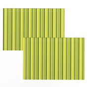 Avocdo Green Fruit Stripe || Chartreuse lime olive kelly forest