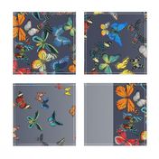 Butterfly Ombre Border Fabric