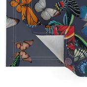 Butterfly Ombre Border Fabric